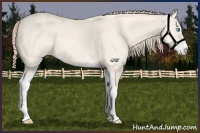 Horse Color:Perlino Dun Sabino 
