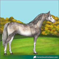 Horse Color:Silver Brown Ice Onyx 
