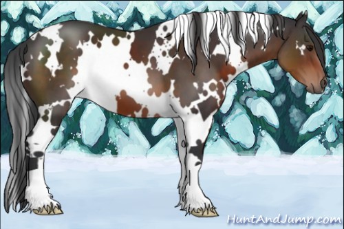 Horse Color:White Spotted Brown 