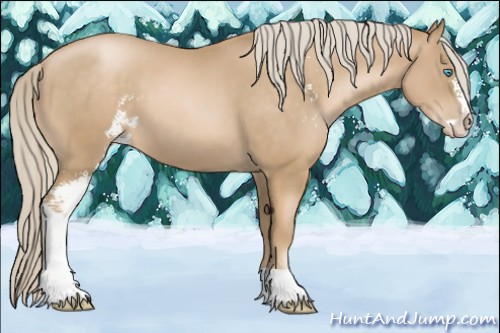 Horse Color:Chocolate Palomino Pearl Sabino 