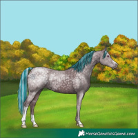Horse Color:Painted Chocolate Silver Black Chinchilla Ice 