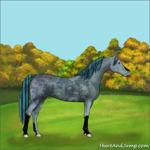 Horse Color:ERROR: UNKNOWN ANOMALY