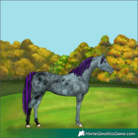 Horse Color:ERROR: UNKNOWN ANOMALY