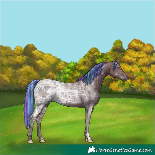 Horse Color:Painted Chocolate Silver Black Chinchilla Ice 