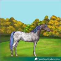 Horse Color:Painted Chocolate Silver Black Chinchilla Ice 