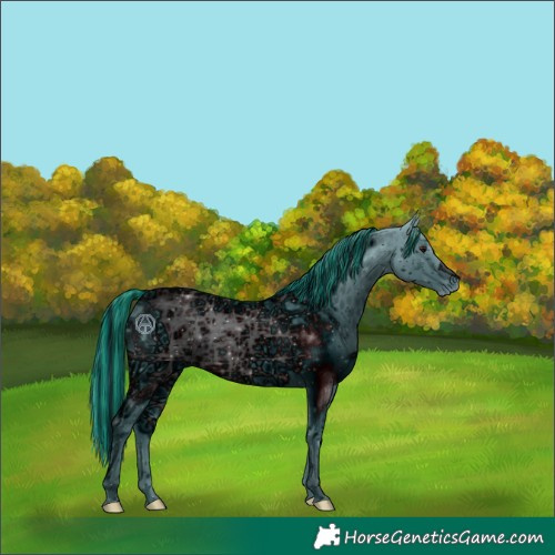 Horse Color:ERROR: UNKNOWN ANOMALY