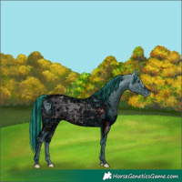 Horse Color:ERROR: UNKNOWN ANOMALY