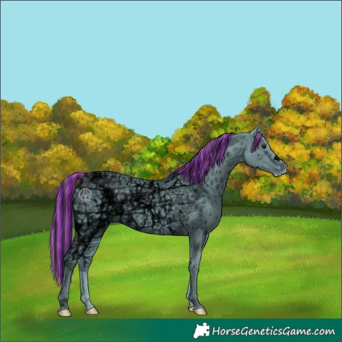 Horse Color:ERROR: UNKNOWN ANOMALY