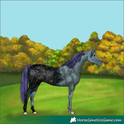 Horse Color:ERROR: UNKNOWN ANOMALY