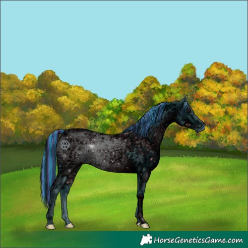 Horse Color:ERROR: UNKNOWN ANOMALY