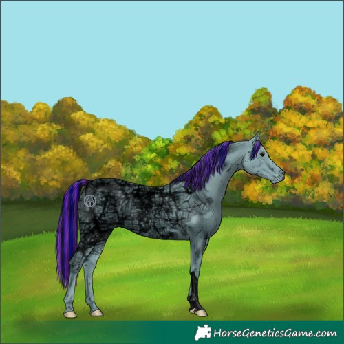 Horse Color:ERROR: UNKNOWN ANOMALY