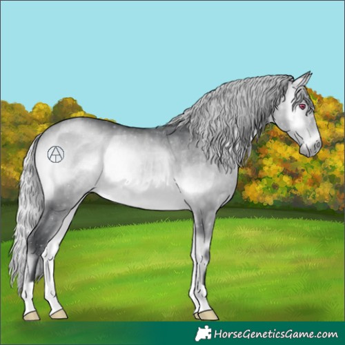 Horse Color:Silver Brown Chinchilla Onyx Mushroom 