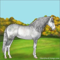 Horse Color:Silver Blue Onyx Chinchilla Ice 