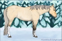 Horse Color:Silver Buckskin Roan Dun Rabicano 