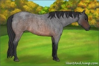 Horse Color:Brown Roan