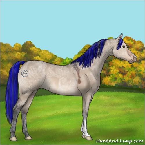 Horse Color:Painted Brown Ice Dun 