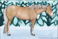 Horse Color:Silver Black Pearl Sabino Rabicano 