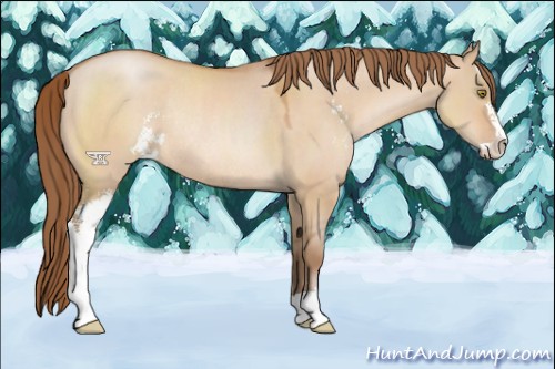 Horse Color:Brown Pearl Dun Sabino Rabicano 