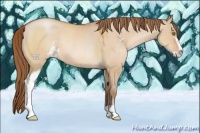 Horse Color:Brown Pearl Dun Sabino Rabicano 