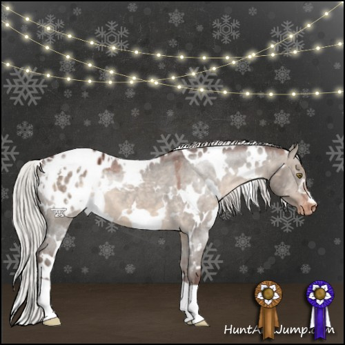 Horse Color:White Spotted Silver Brown Dun Appaloosa 