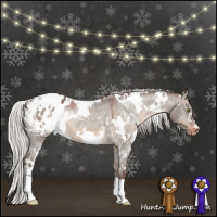Horse Color:White Spotted Silver Brown Dun Blanket
