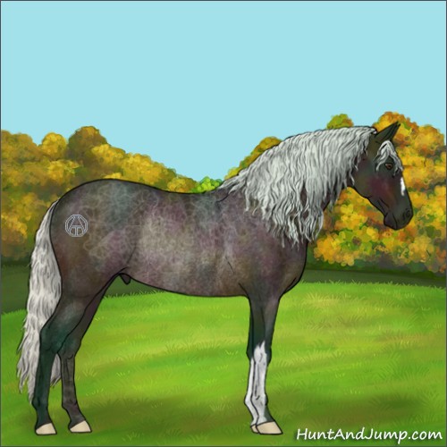 Horse Color:Watercolor Midnight Silver Brown Roan Rabicano 