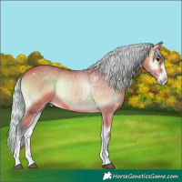 Horse Color:Watercolor Silver Bay Onyx Rabicano 