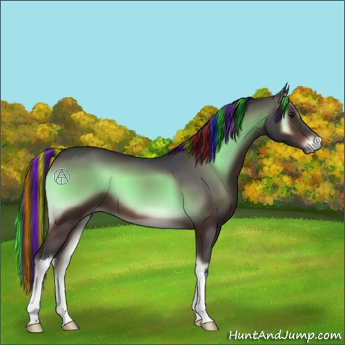 Horse Color:Painted Brown Onyx 