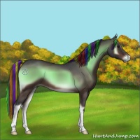 Horse Color:Painted Brown Onyx 