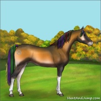 Horse Color:Painted Brown Onyx 