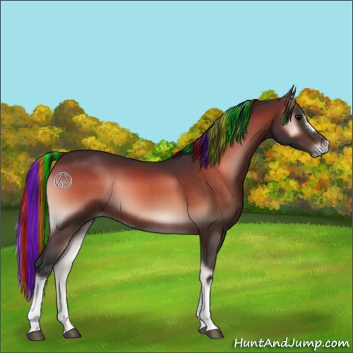 Horse Color:Painted Bay Onyx 