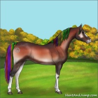 Horse Color:Painted Bay Onyx 