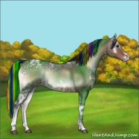Horse Color:Painted Brown Ice Onyx 