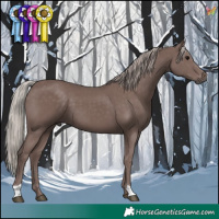 Horse Color:Chocolate Silver Black 