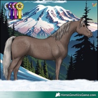 Horse Color:Chocolate Silver Black 