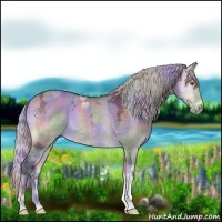 Horse Color:Nacre Silver Brown Chinchilla Ice Onyx 