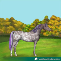 Horse Color:Painted Chocolate Silver Black Chinchilla Ice 