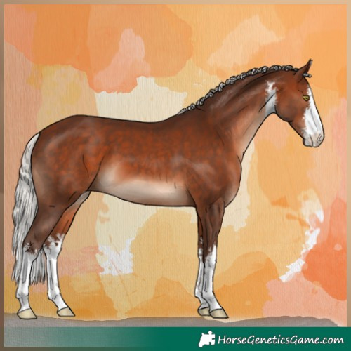 Horse Color:White Spotted Silver Brown