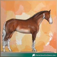 Horse Color:White Spotted Silver Brown