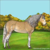 Horse Color:White Spotted Silver Buckskin Mushroom Rabicano 