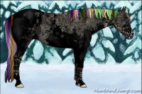 Horse Color:Void Painted Chestnut Ice Pearl Sabino Splash Tobiano Blanket Rabicano