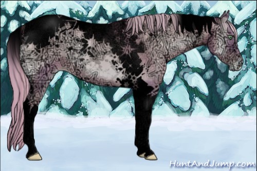 Horse Color:Void Watercolor Chocolate Palomino Ice Pearl Onyx Tobiano