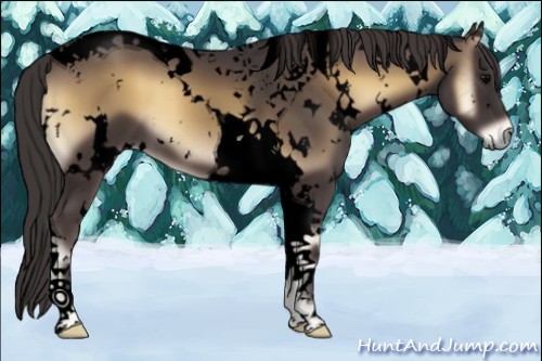 Horse Color:Void White Spotted Smoky Blue Onyx Tobiano 