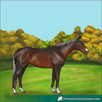 Horse Color:Silver Brown