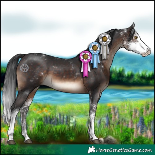 Horse Color:Brown Sabino