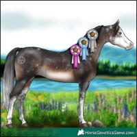 Horse Color:Brown Sabino 