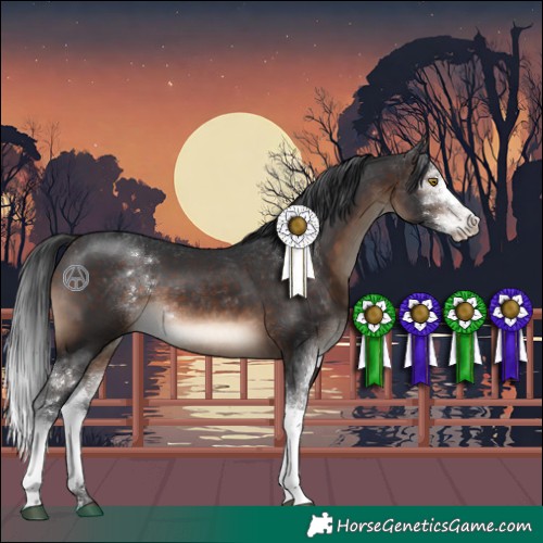 Horse Color:Brown Sabino