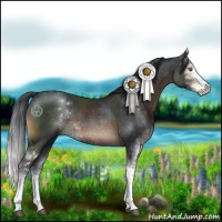 Horse Color:Brown Sabino