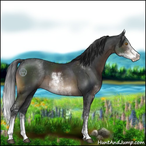 Horse Color:Brown Sabino 