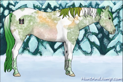 Horse Color:Watercolor Bay Ice Tobiano 